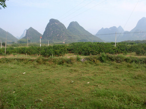 Mountain View.